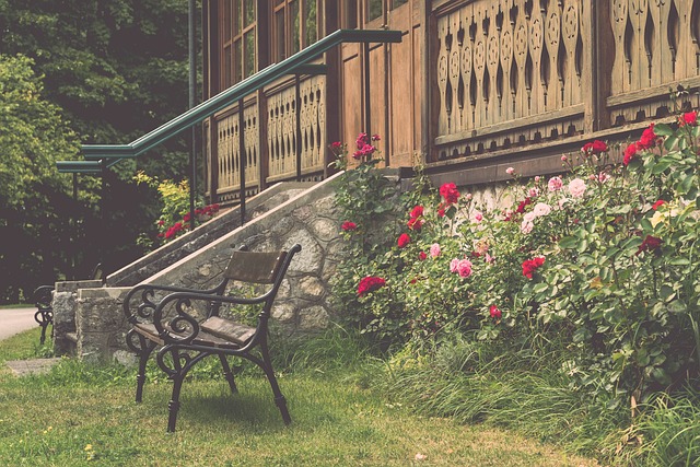 手如林的球 手如林的球