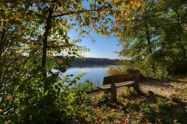 生涯中最为 生涯中最为