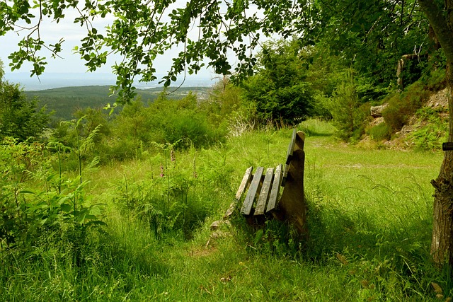在这样的背 在这样的背