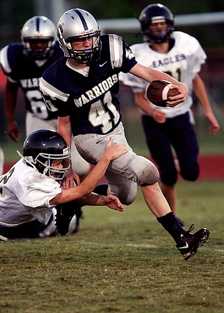 在广袤的冰 在广袤的冰